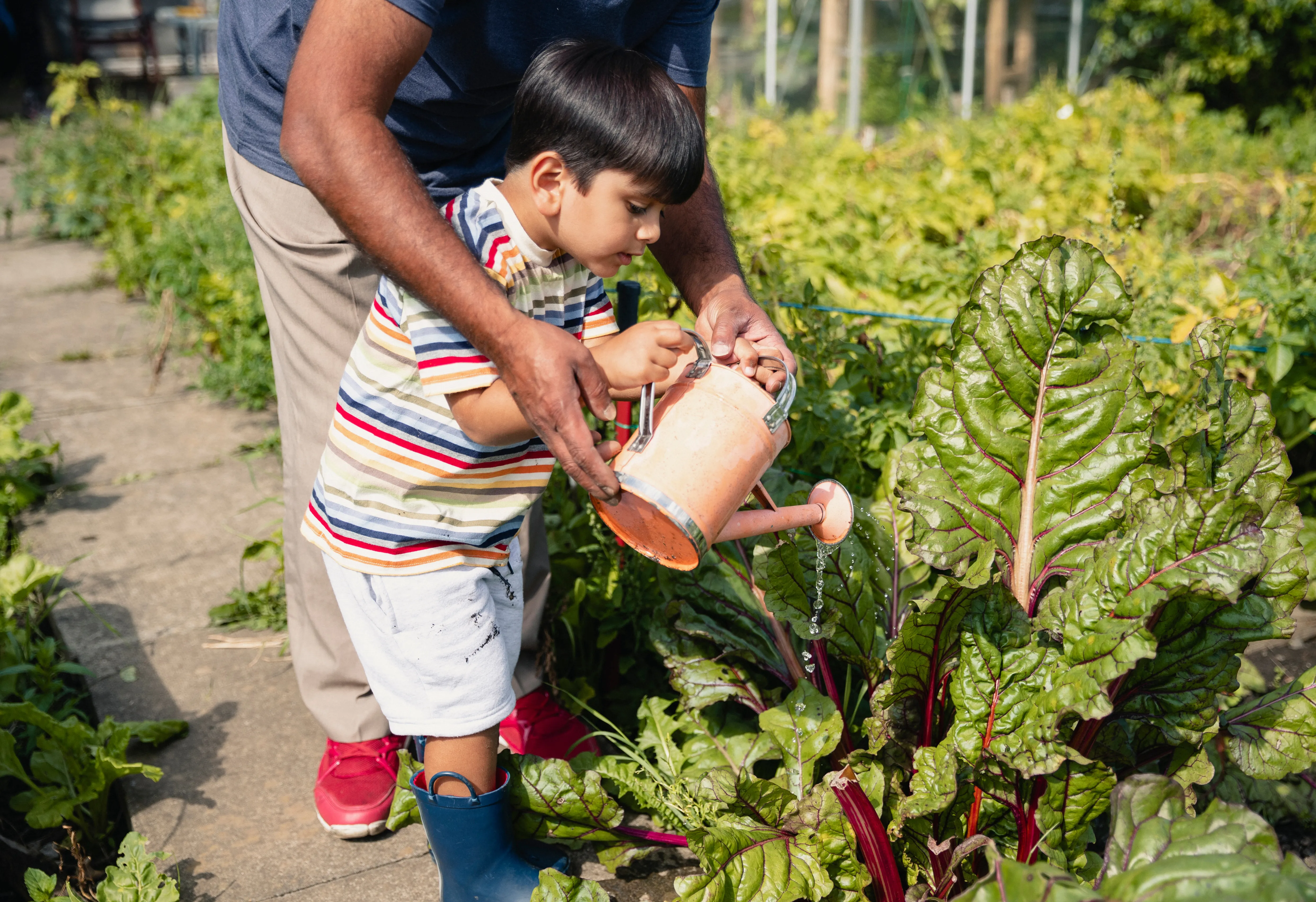 Water geven bij de wortels van planten om diepere wortelgroei en sterkere planten te stimuleren.